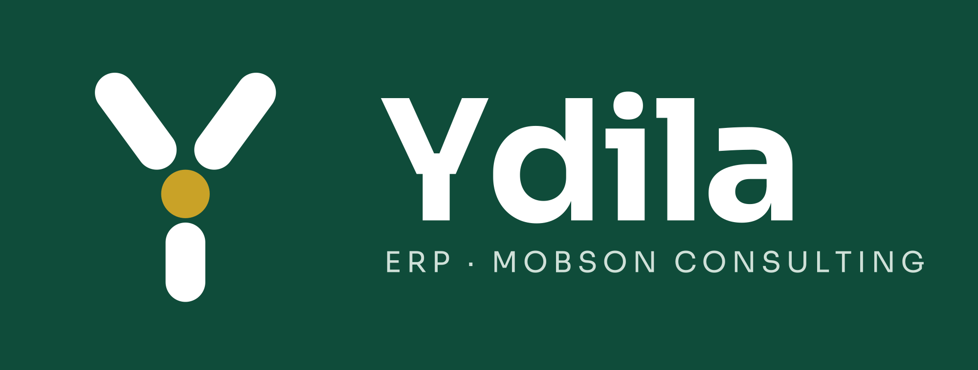 Logo Ydila — ERP Mobson Consulting